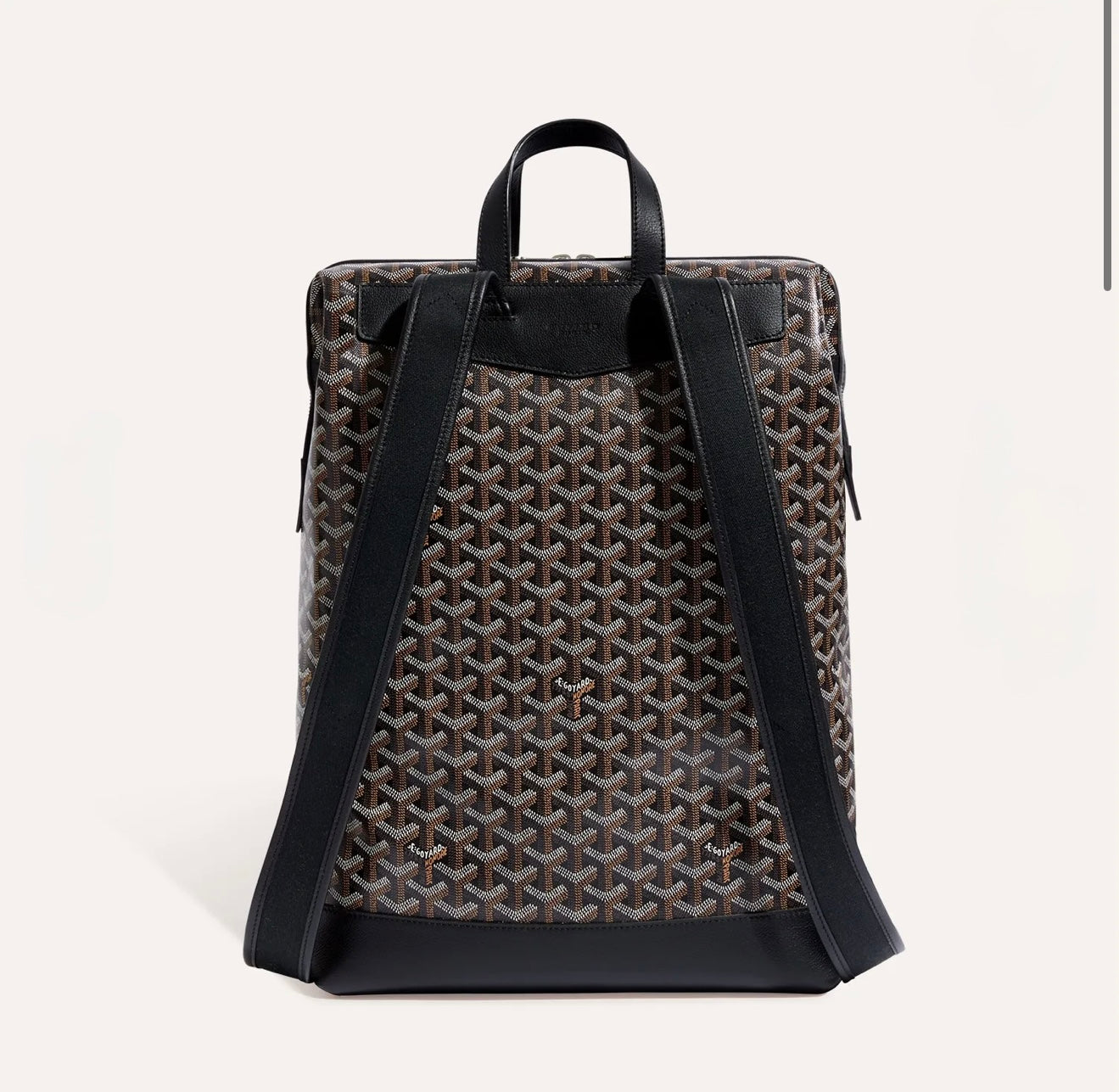Cisalpin Back Pack